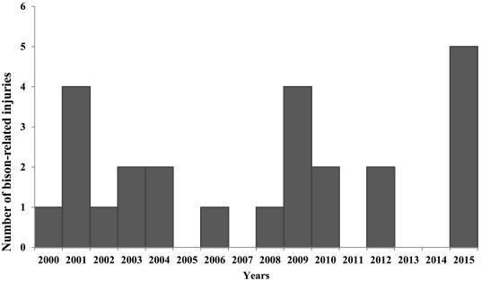 Number of bison-related injuries